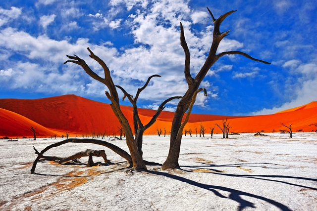 Deadvlei, Sossusvlei. Namibia