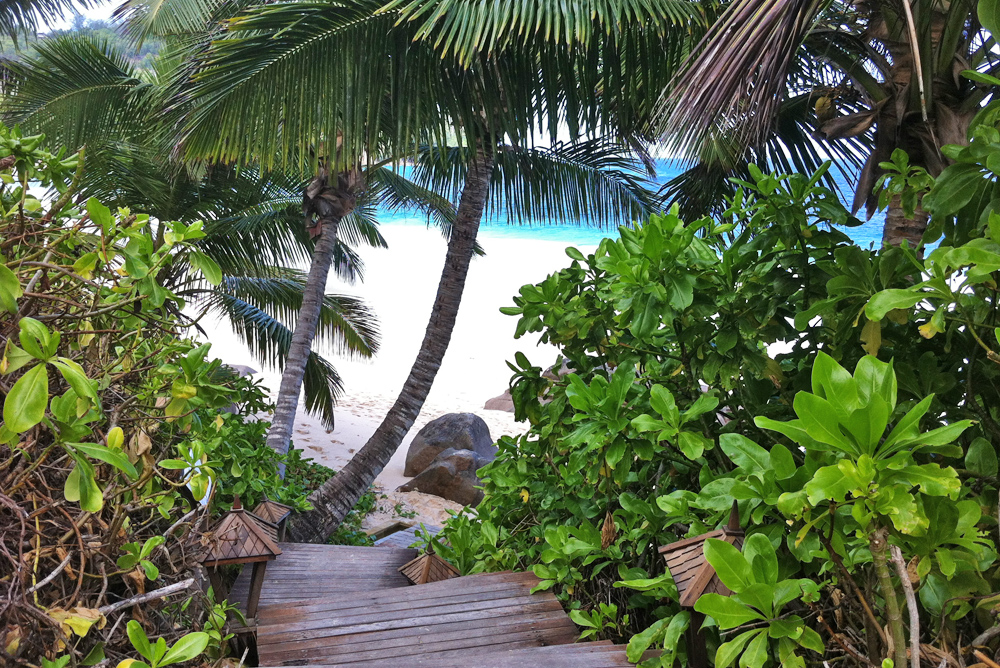 Banyantree-Seychelles_DM