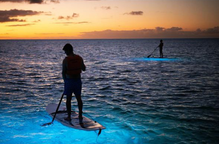 Beachcomber_SUP at night