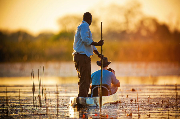 Evening in The Reeds