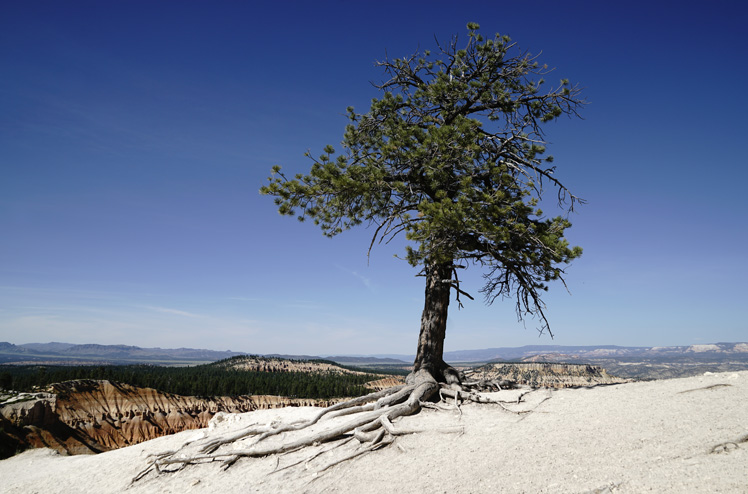 Bryce_Canyon_01