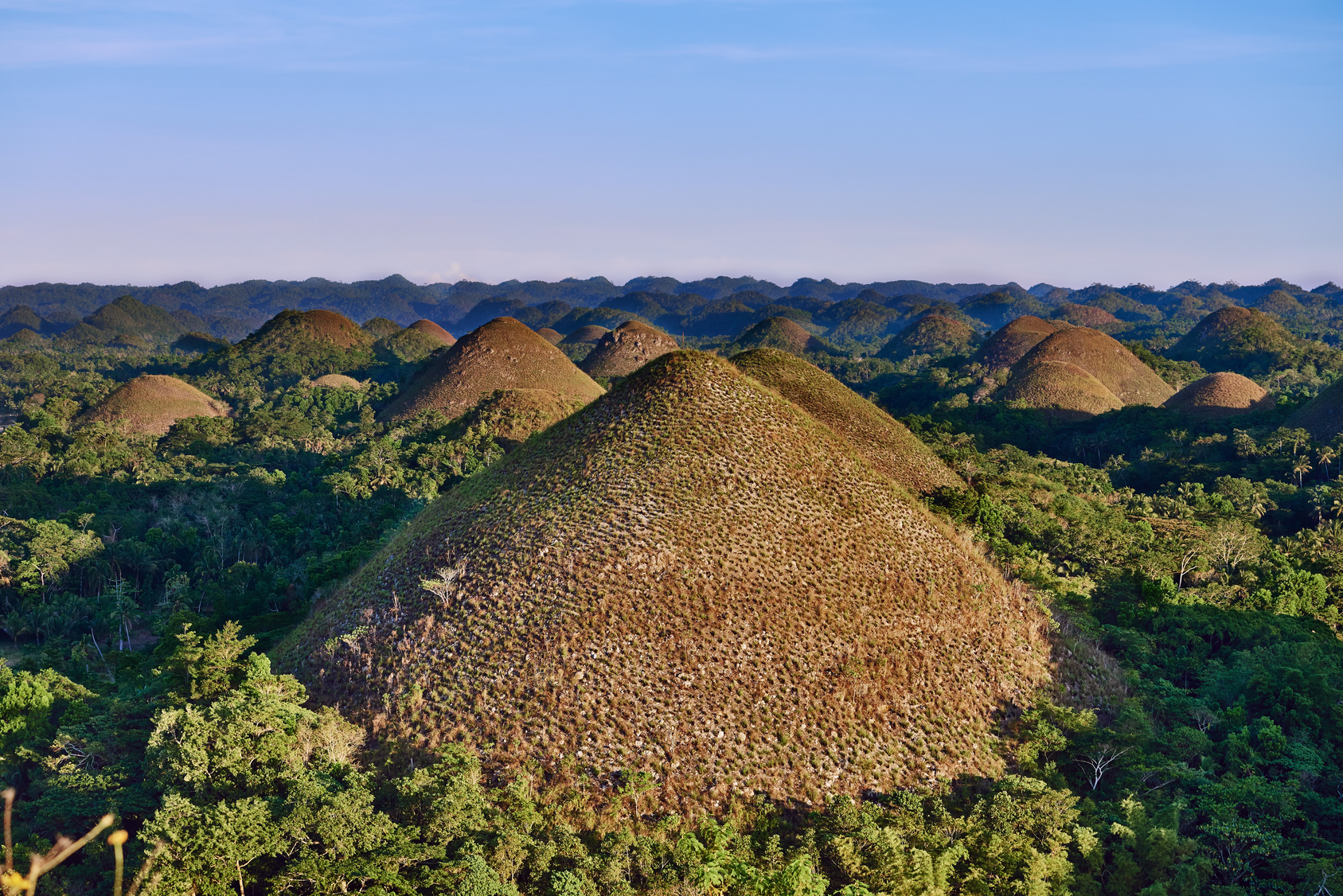 Chocolate hills in Bohol in Philippines