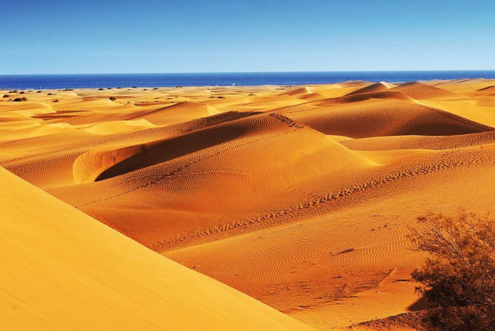 a view of the Natural Reserve of Dunes of Maspalomas, in Gran Canaria, Canary Islands, Spain