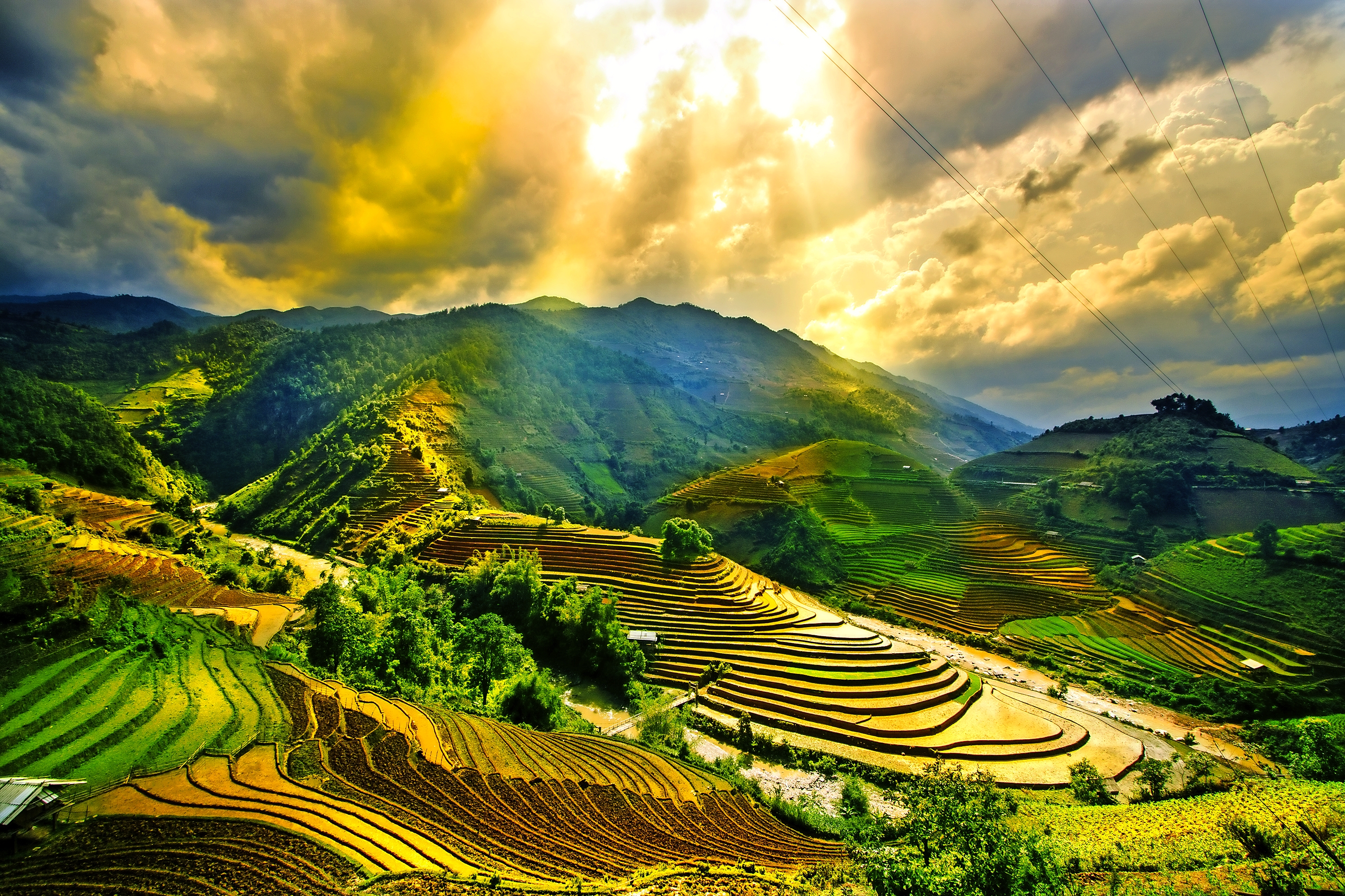 Rice fields on terraced of Mu Cang Chai, YenBai, Vietnam. Vietnam landscapes.