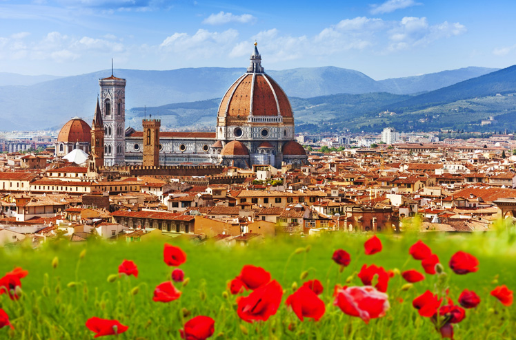 Florence, Duomo and Giotto's Campanile in poppy flowers
