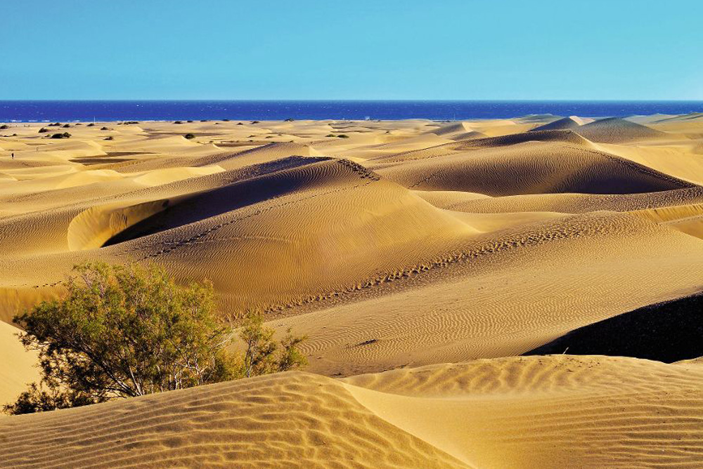 a view of the Natural Reserve of Dunes of Maspalomas, in Gran Canaria, Canary Islands, Spain