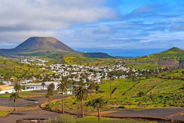 Palm trees in Haria mountain village, Lanzarote, Canary Islands, Spain