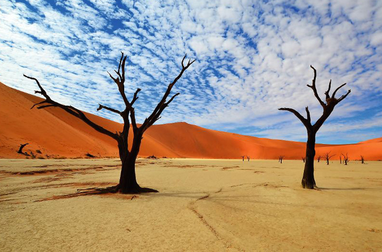 Dead Vlei in Namib desert,Namibia,Africa