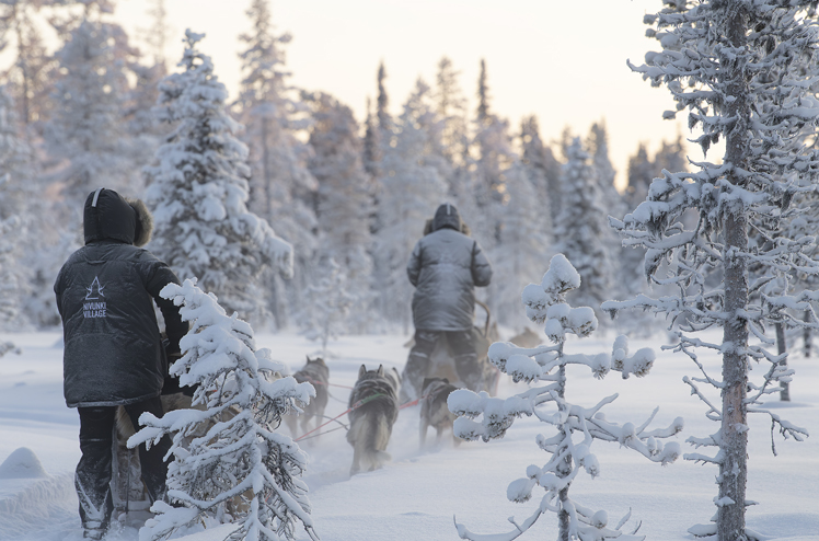 Nivunki_Village huskies (mid-winter)