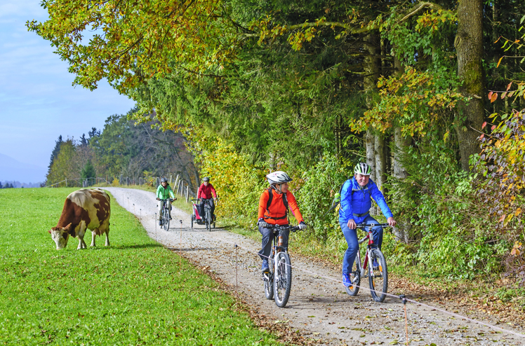 Radtour im herstlichen Oberland