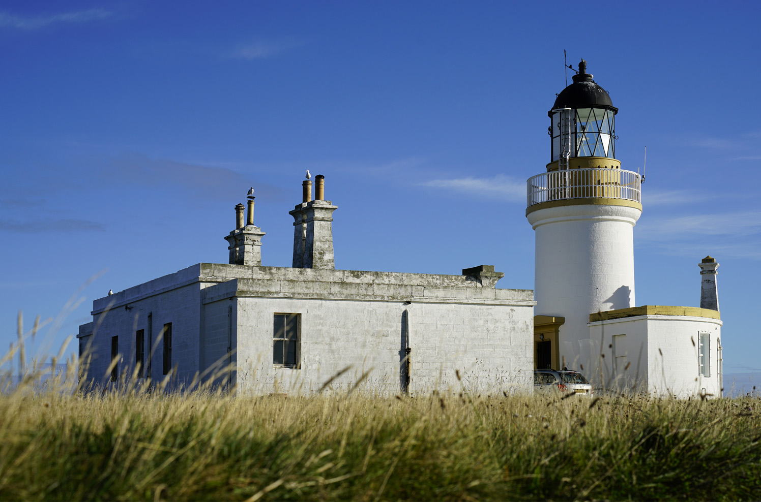 RB_Schottland_Chanonry_Point_CK