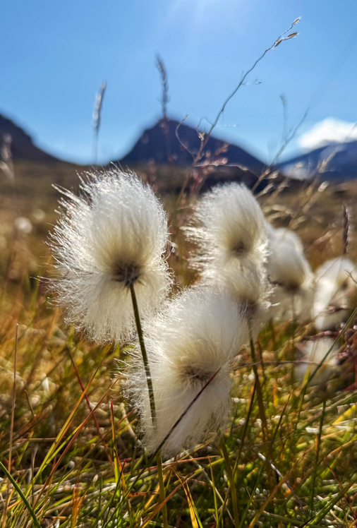RB_Spitzbergen_01-CL