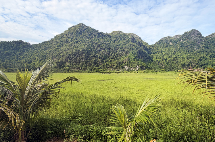 RB_Vietnam_03_SR
