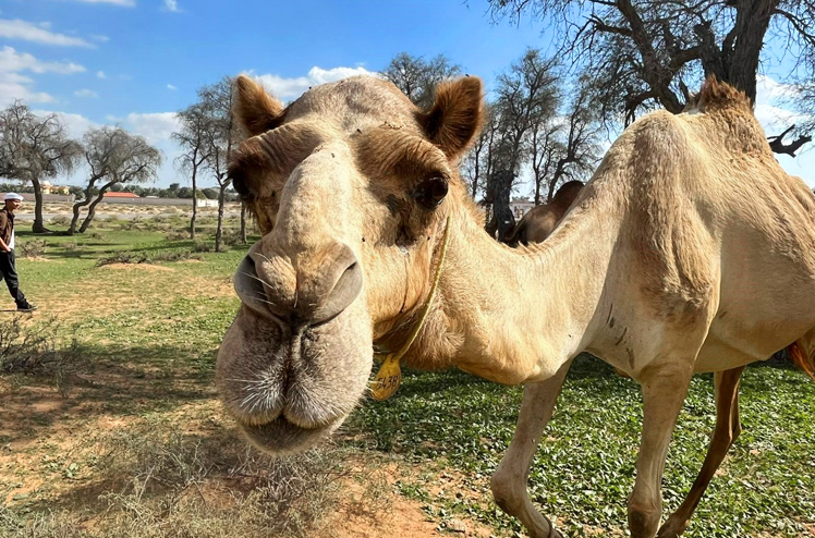 Reisebericht_RAK_04_NS