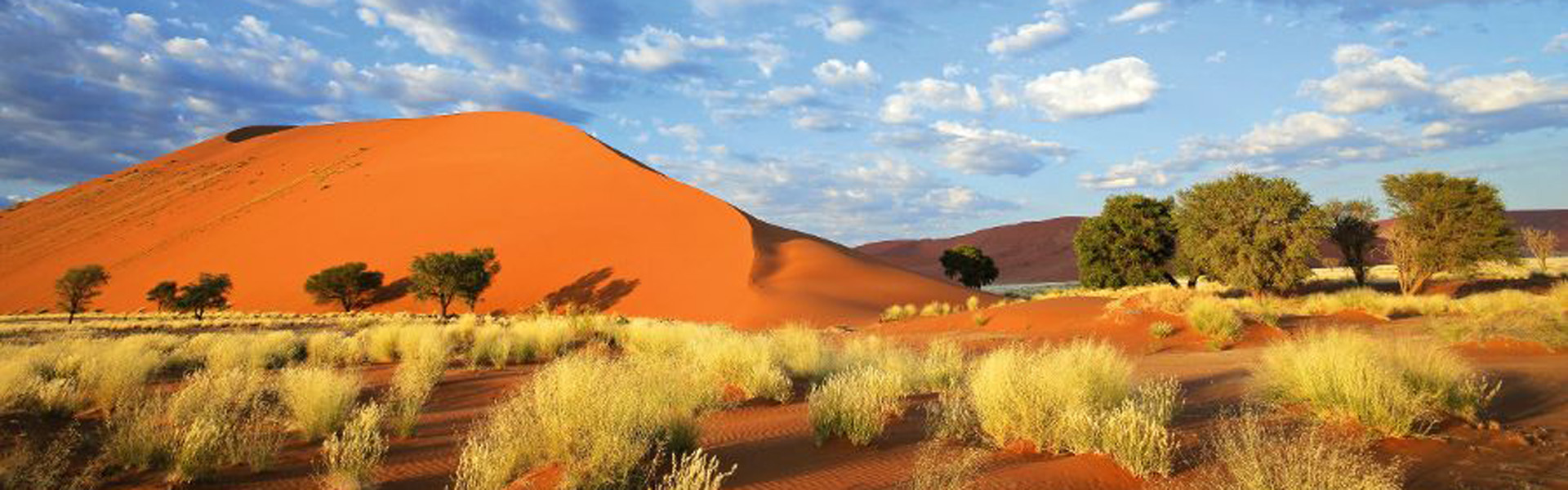 Landscape with desert grasses, large sand dune and sky with clouds, Sossusvlei, Namibia, southern Africa