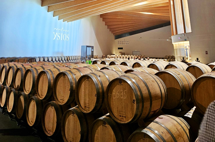 Spanien_Baskenland_Wein_RF