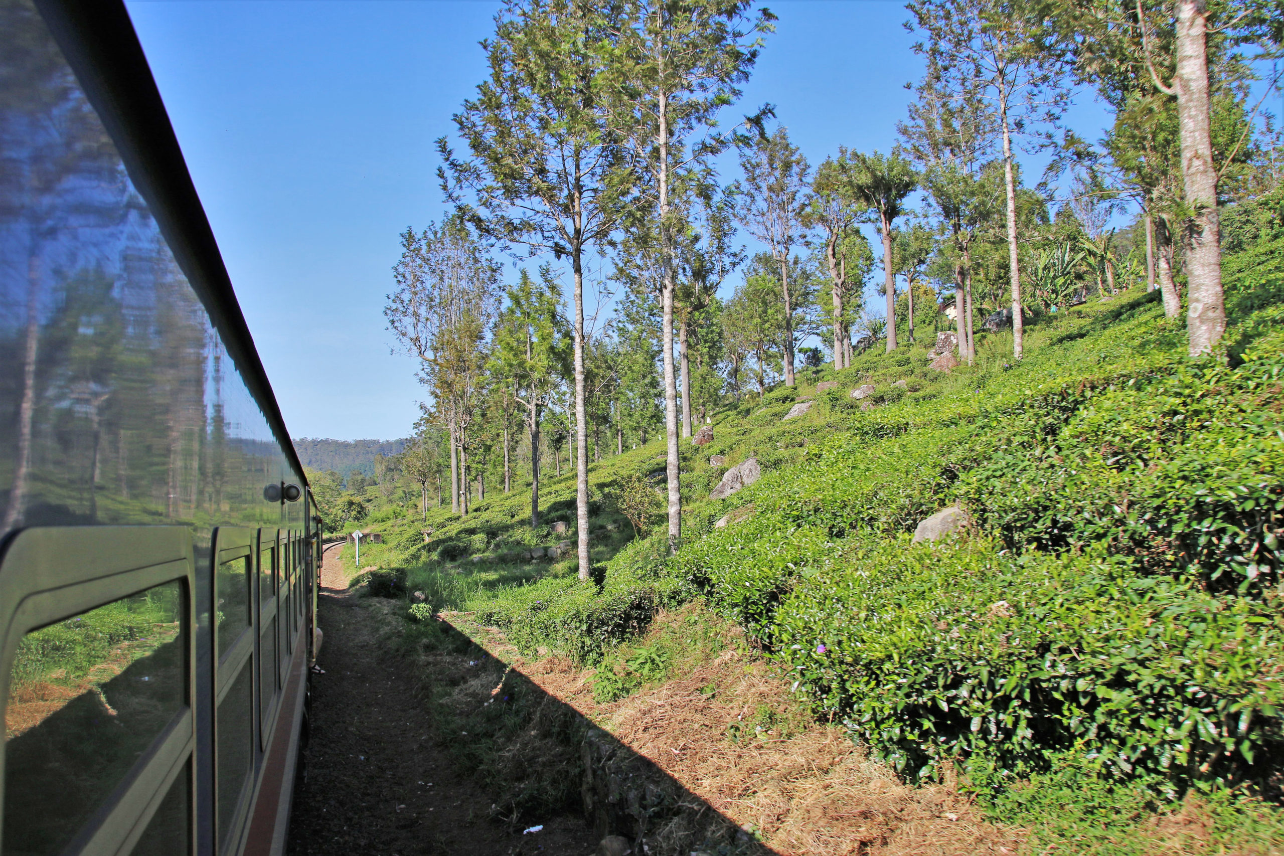 Sri_Lanka_03