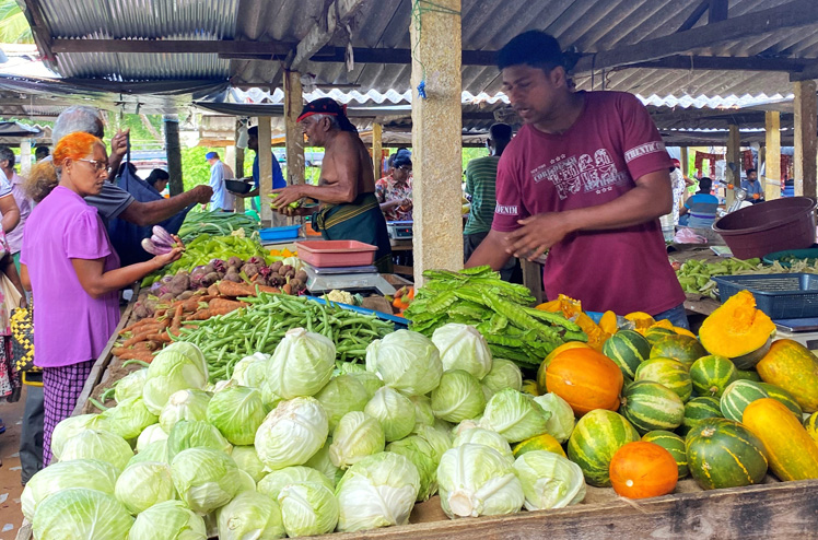 Sri_Lanka_06_DS