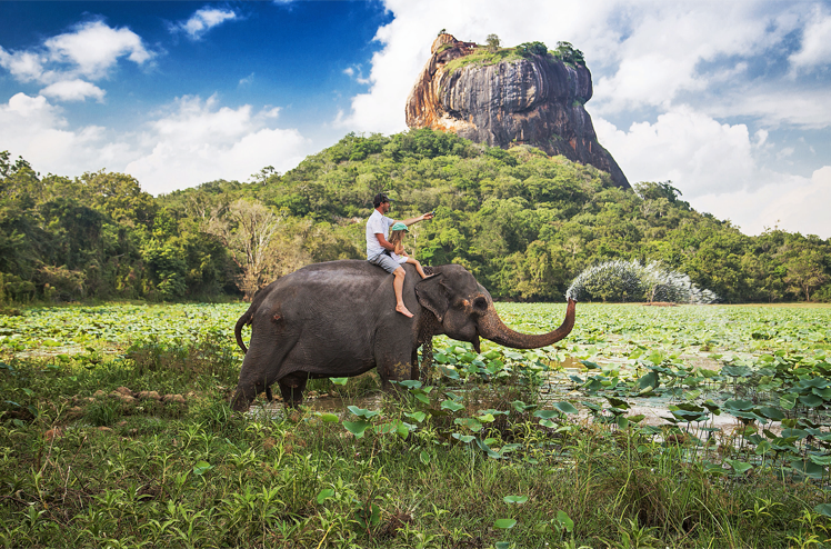 Sri_Lanka_Elefant